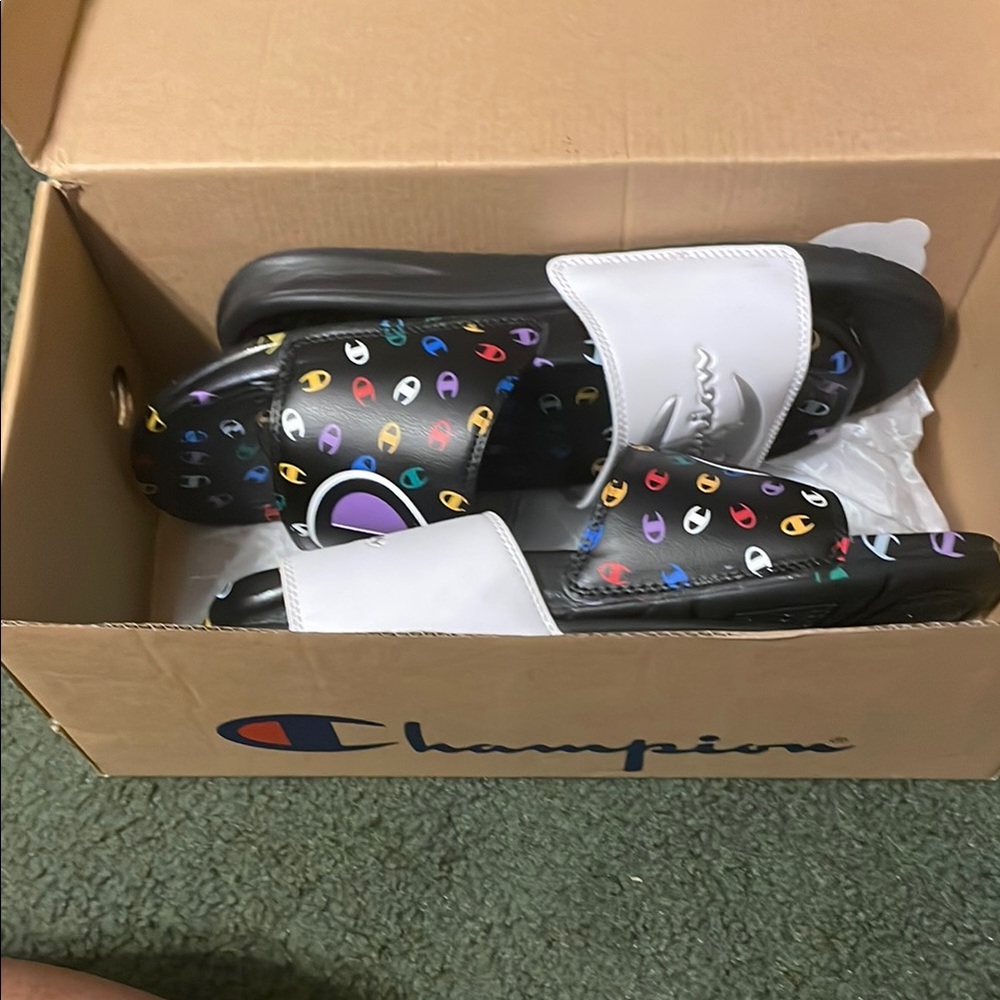 Champion Slides set - Picture 10 of 11